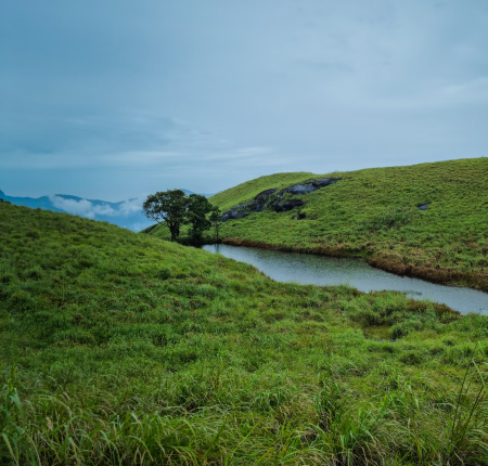 Wayanad: The Green Retreat